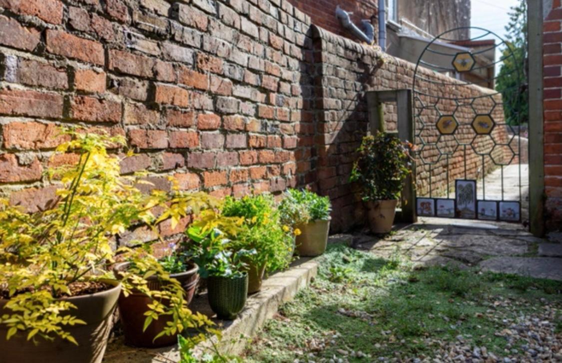 Bridport Garden Suite Exteriör bild