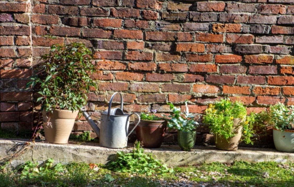 Bridport Garden Suite Exteriör bild